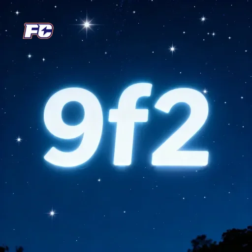 Logo da 9f2